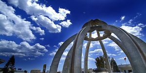 978e5b3708b12dc0ac7c49d60b71a20b_1000x1000